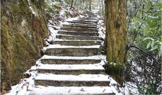 僑洋實業伙伴們在河源比架山拍的雪景