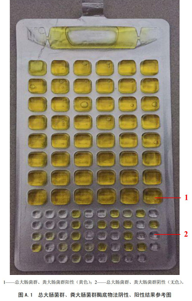 總大腸菌群、糞大腸菌群酶底物法陰性、陽性結(jié)果參考圖